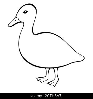 Ente schwarz weiß Vogel isoliert Illustration Vektor Stock Vektor