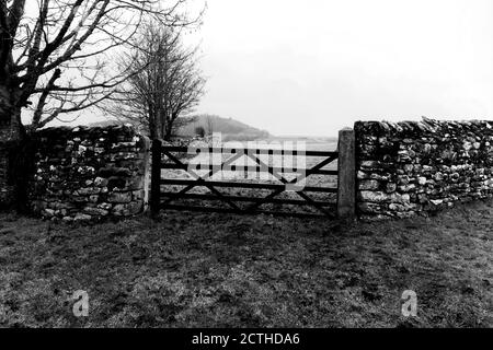 Feldtor auf Schaffarm in Yorkshire UK Stockfoto