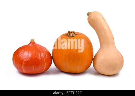 Varation von verschiedenen Arten von Squash Gemüse mit Butternut Squash, Hokkaido Squash und Pie Kürbis isoliert auf weißem Hintergrund Stockfoto