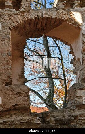 Österreich, Blick auf Herbstwald durch Fenster in der Ruine von Schloss Johannstein im Naturpark Sparbach Stockfoto