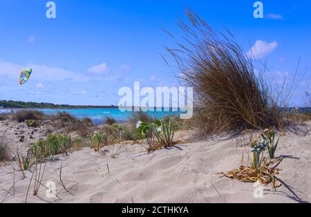 Sommer: Der Strand Punta Pizzo liegt im Herzen des regionalen Naturparks „Isola di Sant’Andrea - Litorale di Punta Pizzo“ in Apulien, Italien. Stockfoto