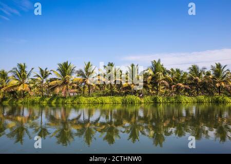 Indien, Kerala, Kollam, Resort auf Munroe Island Stockfoto