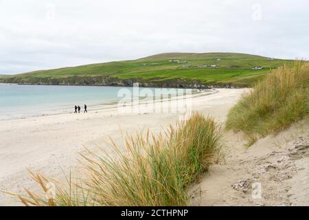 Blick auf Spiggie Beach auch Scousburgh Sands in Dunrossness, Shetland, Schottland, Großbritannien genannt Stockfoto