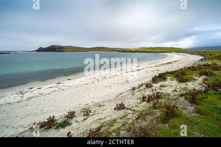 Blick auf den Strand auf Ayre oder Tombolo bei Banna Minn bei Papil auf West Burra, Shetland, Schottland Großbritannien Stockfoto