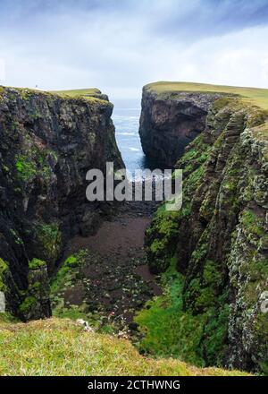 Dramatische Klippen bei Calder's Geo an der Küste bei Eshaness bei Northmavine, Nordland der Shetland Inseln, Schottland, Großbritannien Stockfoto