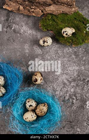 Osterquail-Ei in blauem Nest auf Betongrund. Leerzeichen für Text. Food Textur für Websites. Stockfoto