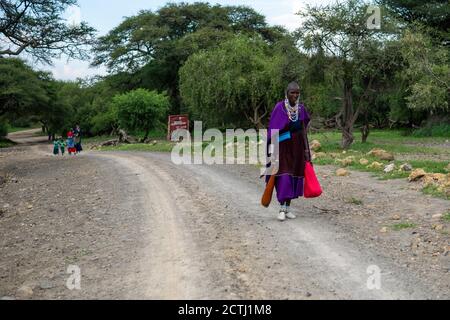 TANSANIA, OSTAFRIKA - JANUAR 2020: Masai-Frau in traditioneller Kleidung und Waffen wandern in der Savanne an der Gravel Road Stockfoto