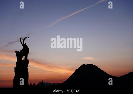 Steinbock bei Sonnenuntergang mit Berg im Hintergrund, aufgenommen am Dachstein, Österreich Stockfoto