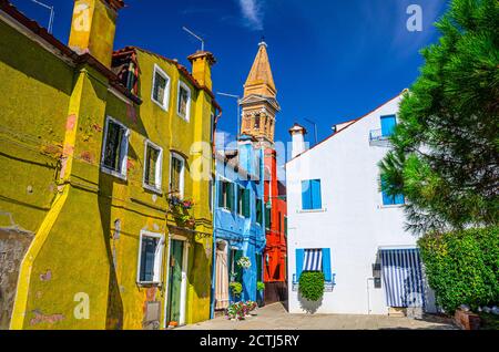 Bunte Häuser mit bunten Mauern in der Straße der Insel Burano, Glockenturm der Kirche San Martino und blauer Himmel in sonnigen Sommertag, Provinz Venedig, Region Venetien, Norditalien. Burano Postkarte Stockfoto