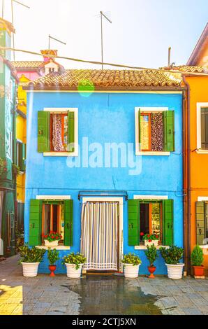 Burano Insel Bunte Häuser mit blauer Wand, gestreiften Vorhang an Türen, Fensterläden und Blumen in Topf, sonnigen Sommertag, Provinz Venedig, Region Venetien, Norditalien. Burano Postkarte Stockfoto