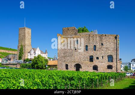 Weinberge Grünfeld, Bromserburg mittelalterliches Steinniederland Burggebäude und Steinturm in Rüdesheim am Rhein historisches Stadtzentrum, blauer Himmel Hintergrund, Land Hessen, Deutschland Stockfoto