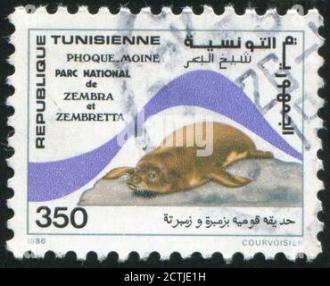 TUNESIEN UM 1986: Briefmarke gedruckt von Tunesien, zeigt Seal, Zembretta, um 1986 Stockfoto