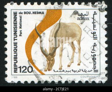 TUNESIEN - UM 1986: Briefmarke gedruckt von Tunesien, zeigt Addax, um 1986 Stockfoto