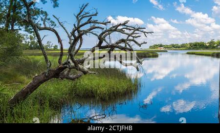 Eintritt zum Besucherzentrum in der Davis Bayou Gegend der Gulf Islands National Seashore in Ocean Springs, Mississippi Stockfoto