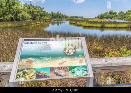 Salt Marsh Informationsschild am Besucherzentrum in der Davis Bayou Gegend der Gulf Islands National Seashore in Ocean Springs, Mississippi Stockfoto