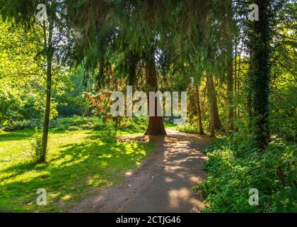 Schöner Brueton Park in Solihull, West Midlands, England. Stockfoto