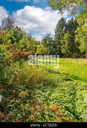 Schöner Brueton Park in Solihull, West Midlands, England. Stockfoto