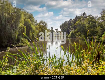 Schöner Brueton Park in Solihull, West Midlands, England. Stockfoto