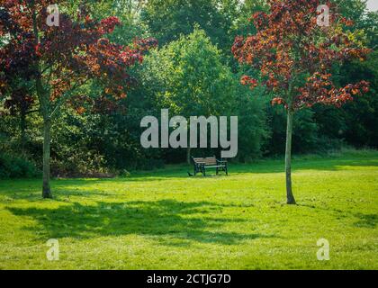 Schöner Brueton Park in Solihull, West Midlands, England. Stockfoto