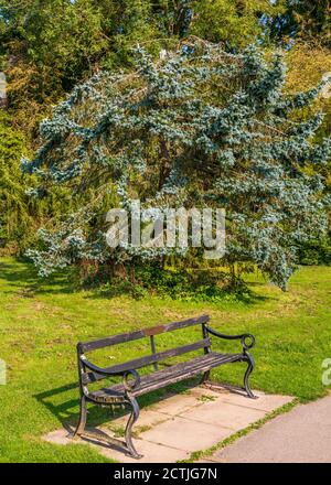 Schöner Brueton Park in Solihull, West Midlands, England. Stockfoto