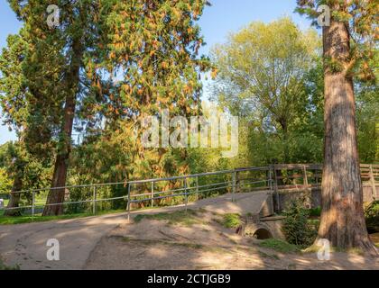 Schöner Brueton Park in Solihull, West Midlands, England. Stockfoto