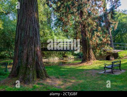 Schöner Brueton Park in Solihull, West Midlands, England. Stockfoto