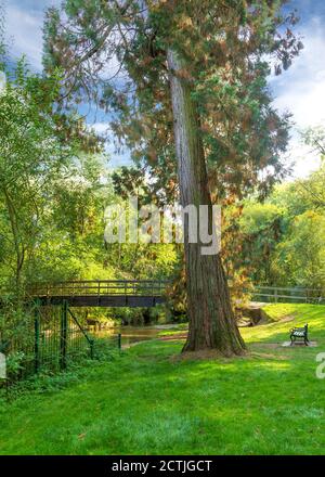 Schöner Brueton Park in Solihull, West Midlands, England. Stockfoto