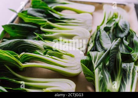 Grün belaubte Bokchoy bereit, im Ofen zu braten Stockfoto