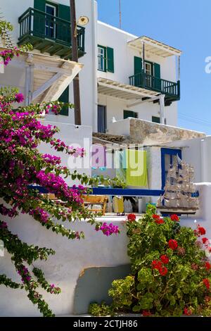 Typische weiß getünchte Häuser und blau lackierte Türen und Fenster mit Bunte Pflanzen auf der Insel Mykonos in Griechenland Stockfoto