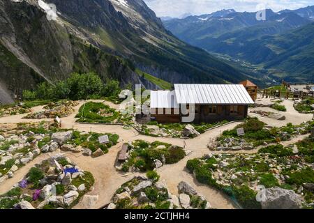 Erhöhter Blick auf den Alpinen Botanischen Garten Saussurea (2173 m), einen der höchsten Naturgärten der Welt, auf einem Bergrücken des Mont Blanc, Courmayeur, Italien Stockfoto