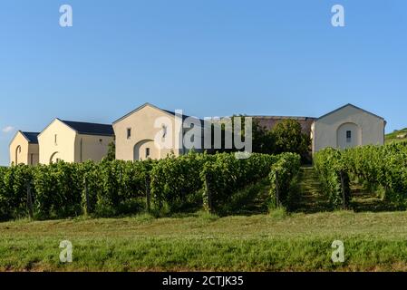 Gebäude und Weinberge in der Kellerei Disznoko im Tokaj Weinregion von Ungarn Stockfoto