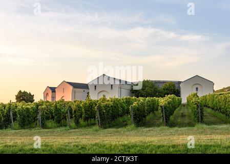 Gebäude und Weinberge in der Kellerei Disznoko im Tokaj Weinregion von Ungarn Stockfoto