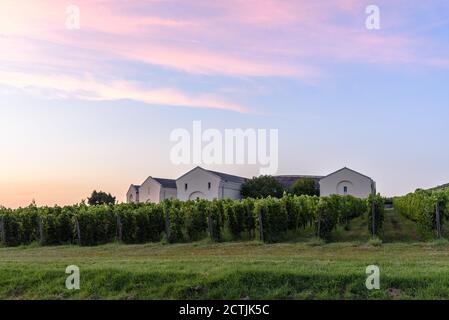 Gebäude und Weinberge in der Kellerei Disznoko im Tokaj Weinregion von Ungarn Stockfoto