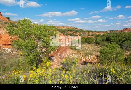 Texas Plains Trail, Briscoe County, Quitaque, Caprock Canyons State Park und Trailway Stockfoto