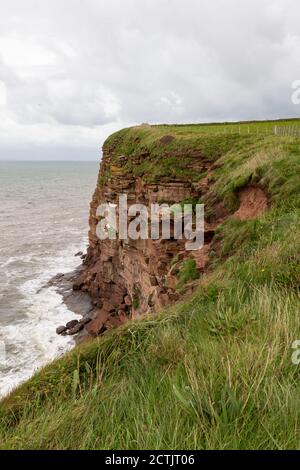 St Bees North Head, eine rote Sandsteinklippe, Cumbria, England, Großbritannien Stockfoto