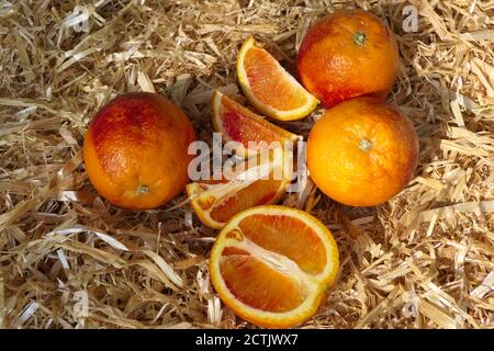 In Scheiben geschnittene und Vollblutorangen auf einer Basis mit Stroh Stockfoto