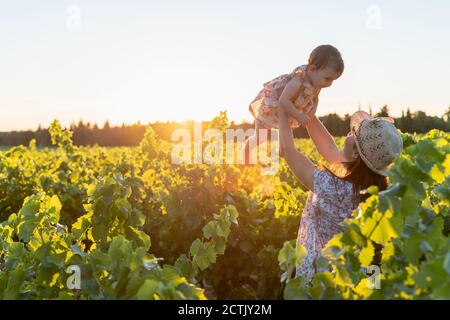 Mutter hält ihre Tochter in einem Weinberg bei Sonnenuntergang in der Provence, Frankreich Stockfoto