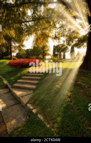 Sonnenstrahlen durch das Laub der Bäume im Sigurtà Gartenpark in Valeggio sul Mincio bei Verona (Italien). Stockfoto