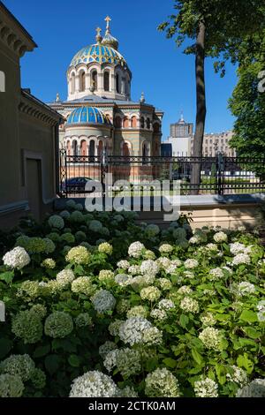 Polen, Lodz, Blumen blühen im Park Moniuszki mit Alexander Newski Kathedrale im Hintergrund Stockfoto