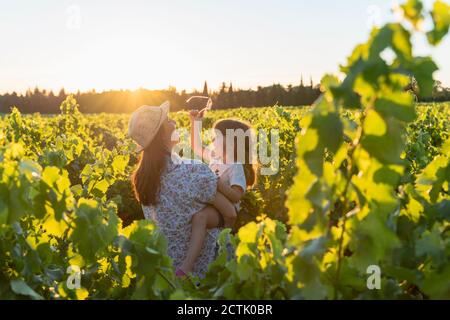 Mutter hält ihre Tochter in einem Weinberg bei Sonnenuntergang in der Provence, Frankreich Stockfoto