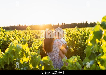 Mutter hält ihre Tochter in einem Weinberg bei Sonnenuntergang in der Provence, Frankreich Stockfoto