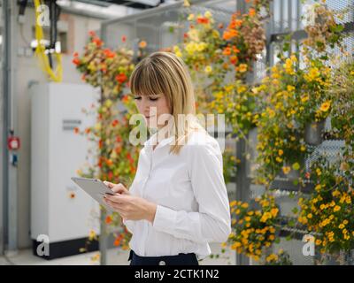 Geschäftsfrau mit blonden Haaren mit digitalen Tablet, während sie gegen Blumen im Gewächshaus Stockfoto