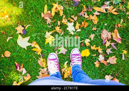 Füße der Frau, die inmitten herbstlicher Blätter auf Gras steht parken Stockfoto