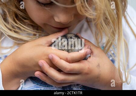 Nahaufnahme von niedlichen Mädchen spielen mit Hamster Stockfoto