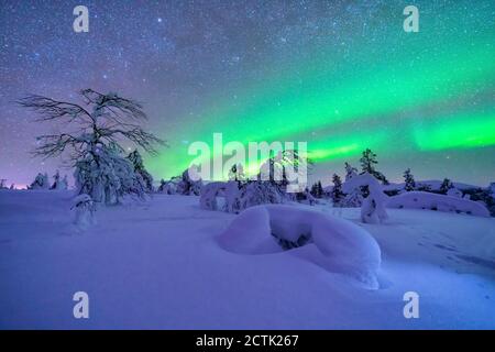 Nordlichter über schneebedeckter Landschaft in der Dämmerung Stockfoto