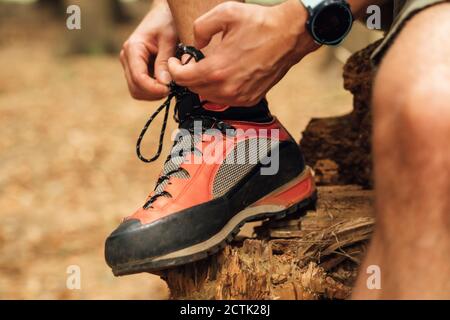 Nahaufnahme eines Mannes mit mittlerem Erwachsenen, der Schuhschürze auf Holz einschnürt Wald Stockfoto
