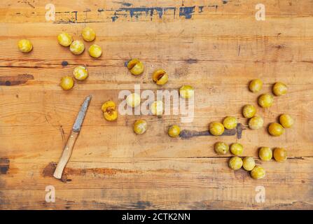Frisch geerntete Mirabellpflaumen (Prunus domestica) Stockfoto