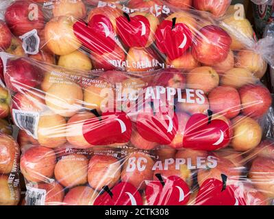 Die Verwendung von Kunststoff in Verpackungen in der Landwirtschaft und der Lebensmittelindustrie. Royal Gala-Äpfel zum Verkauf in Plastiktüten. Stockfoto