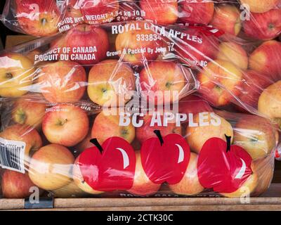 Die Verwendung von Kunststoff in Verpackungen in der Landwirtschaft und der Lebensmittelindustrie. Royal Gala-Äpfel zum Verkauf in Plastiktüten. Stockfoto