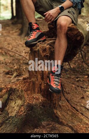 Nahaufnahme der Beine eines Mannes mit mittlerem Erwachsenen und Wanderstiefel Sitzen auf Holz im Wald Stockfoto